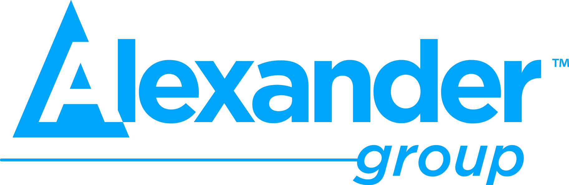 Alexander Group logo image